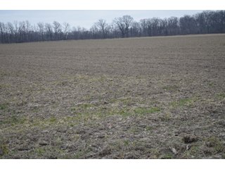 Property photo 45 - 175 Acres Offered in 5 Tracts - Tontogany, Ohio Farm Land Auction